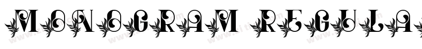 Monogram Regular字体转换